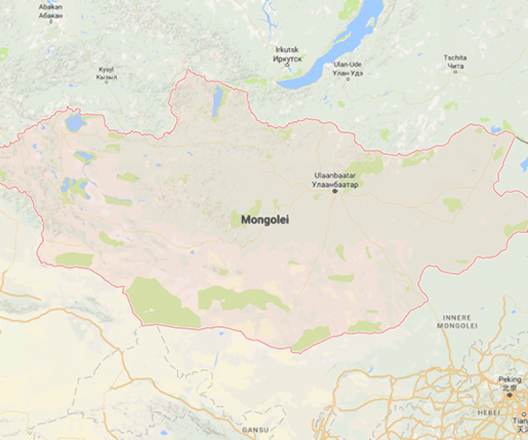 Healthcare Systems in Ulan Bator, Mongolei